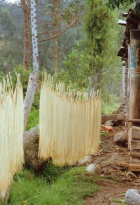 straw-drying.jpg